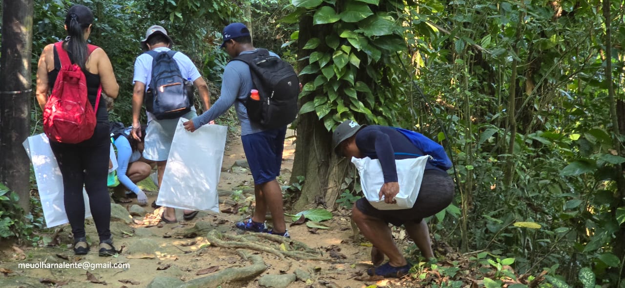 Projeto Mata Atlântica de Pé